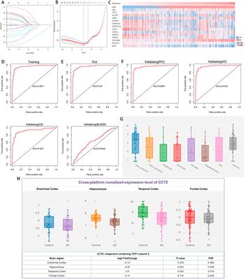 Multi-omics analysis revealed the role of CCT2 in the induction of autophagy in Alzheimer’s disease